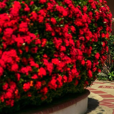 Hosteria Tonusco Campestre Santa Fe de Antioquia Exteriör bild